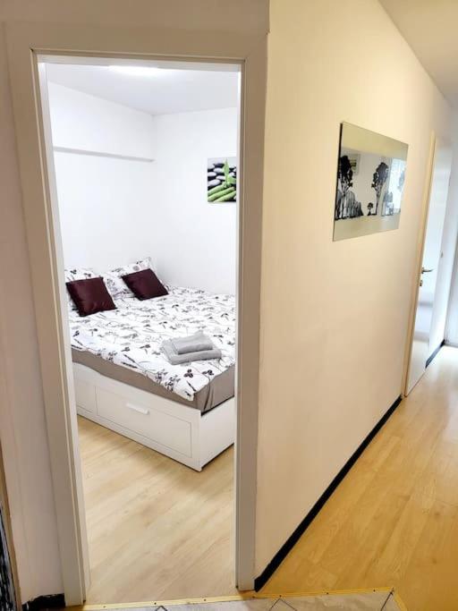 Apartment R.i.s.-rest In Siska Duplex Laibach